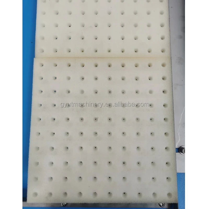 Row Seeder Tray Seeder Machine for Seedlings Seeds Pumpkin Watermelon Cucumber Tomatoes Onion