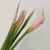 Calla flamingo 1 tie 5 sticks
