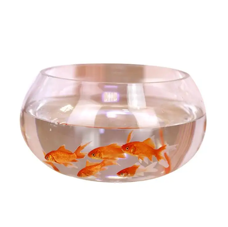 fish tank container