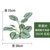 New Watermelon Leaf Design