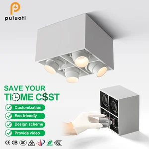 PULUOTI 40W CE Rohs LED Square Spotlight Modern Commercial Indoor Ceiling Mounted Lighting White Black Aluminum Exposed Surface