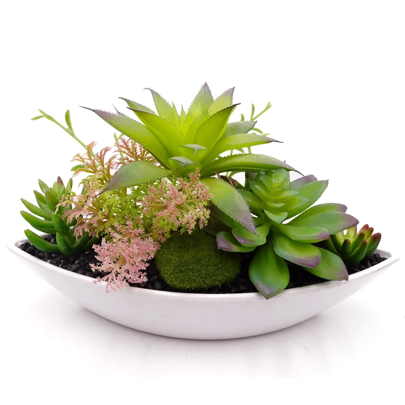 Factory Directly Mini Artificial Assorted Potted Succulents Plants