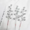 Silver fruit (12 fruits)
