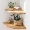 Bambù