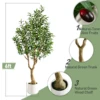 Olivo Realistico Verde Naturale da 180 cm con Vaso Bianco