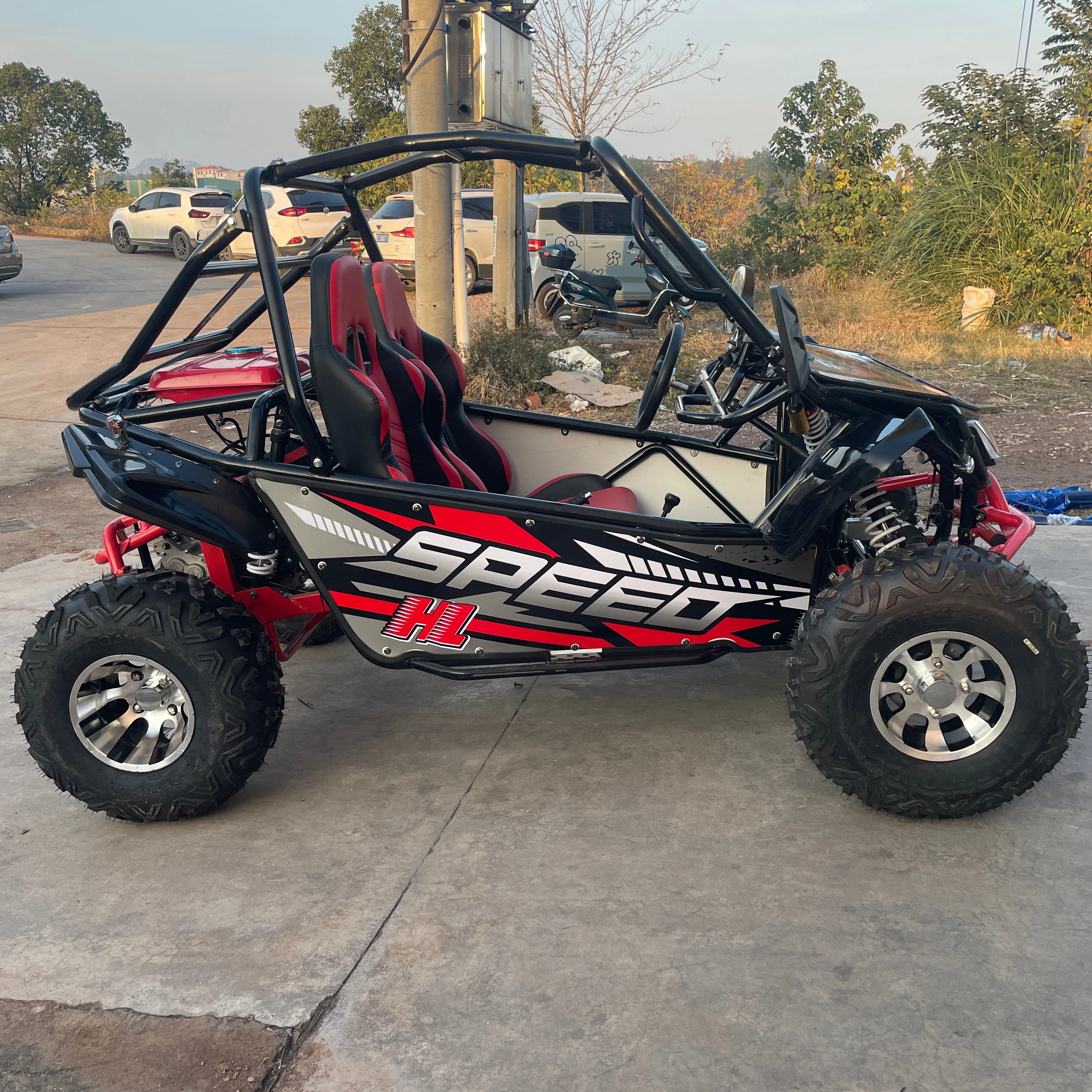 Easy-go Hot Selling 200cc/300cc Cheap High Quality 2 Seats Adults off Road Buggy/dune Buggy/buggy