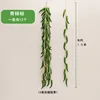 Green chili peppers [1.5 meters]
