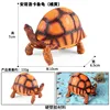 เต่าแองโกลอคา 3692 สีสันสดใสเป็นสีส้ม