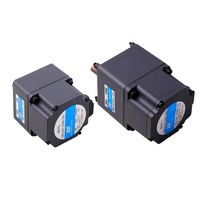 6W Constant Speed Electric BLDC Brushless DC Gear Induction Motor 110V 220V 24V for Fan Robot Pump Machine Boat Servo Motor