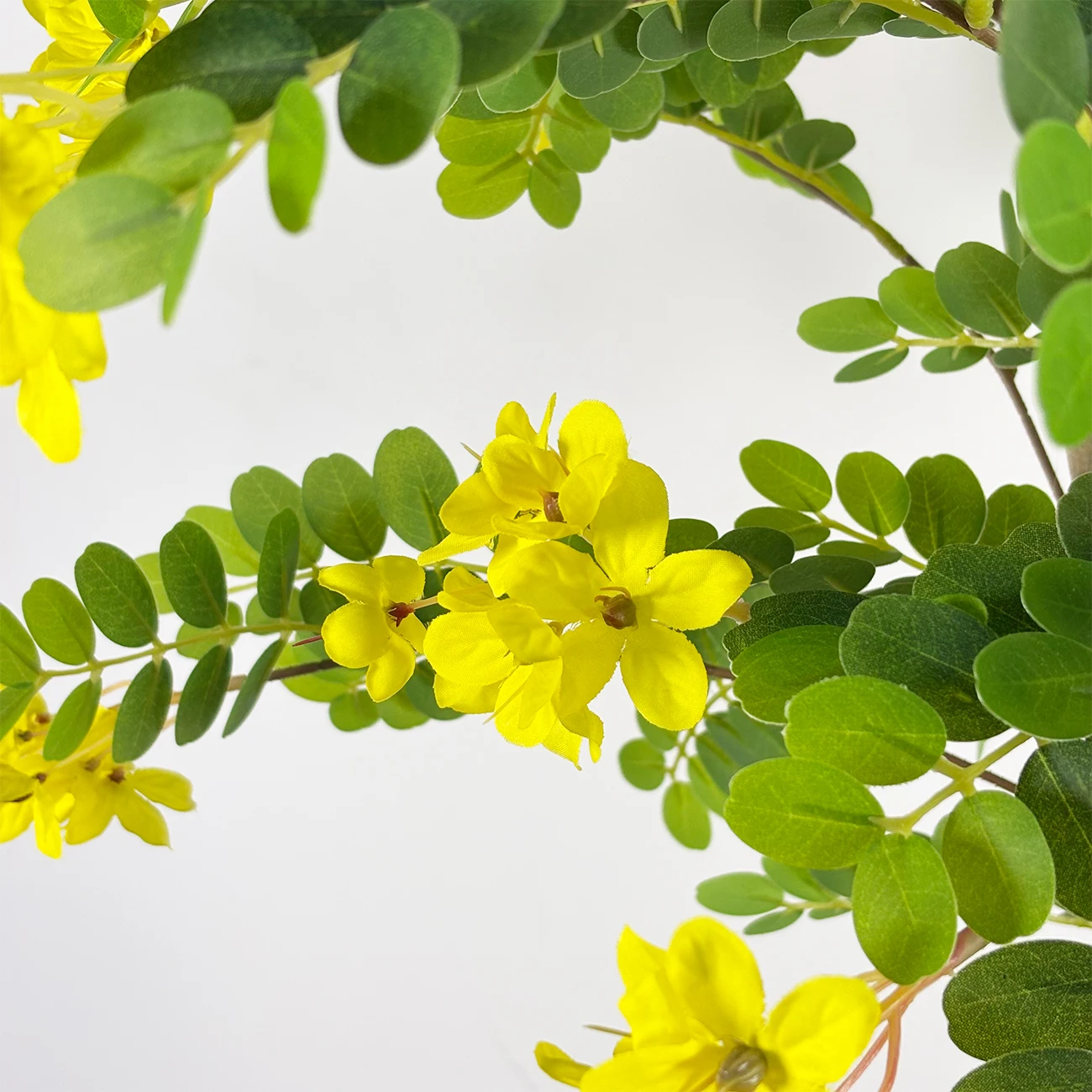 细节图5