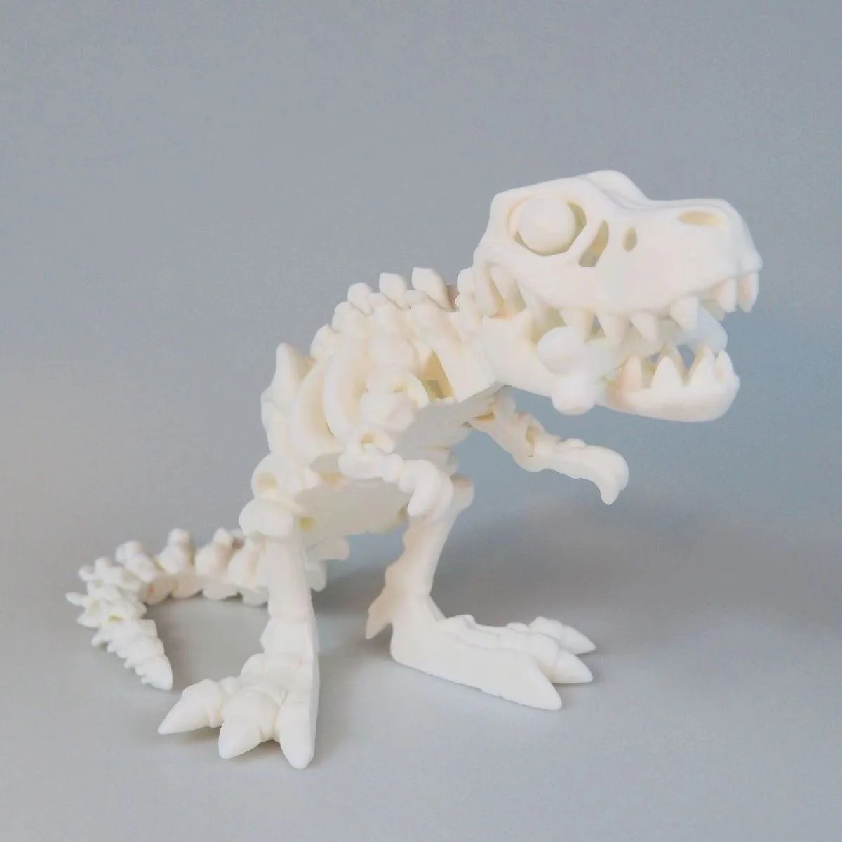 3D Printed T-Rex Dinosaur Skeleton: Hot-selling Transforming Decoration Exquisite Collectible Figurine Ideal Gift&Trendy Artwork