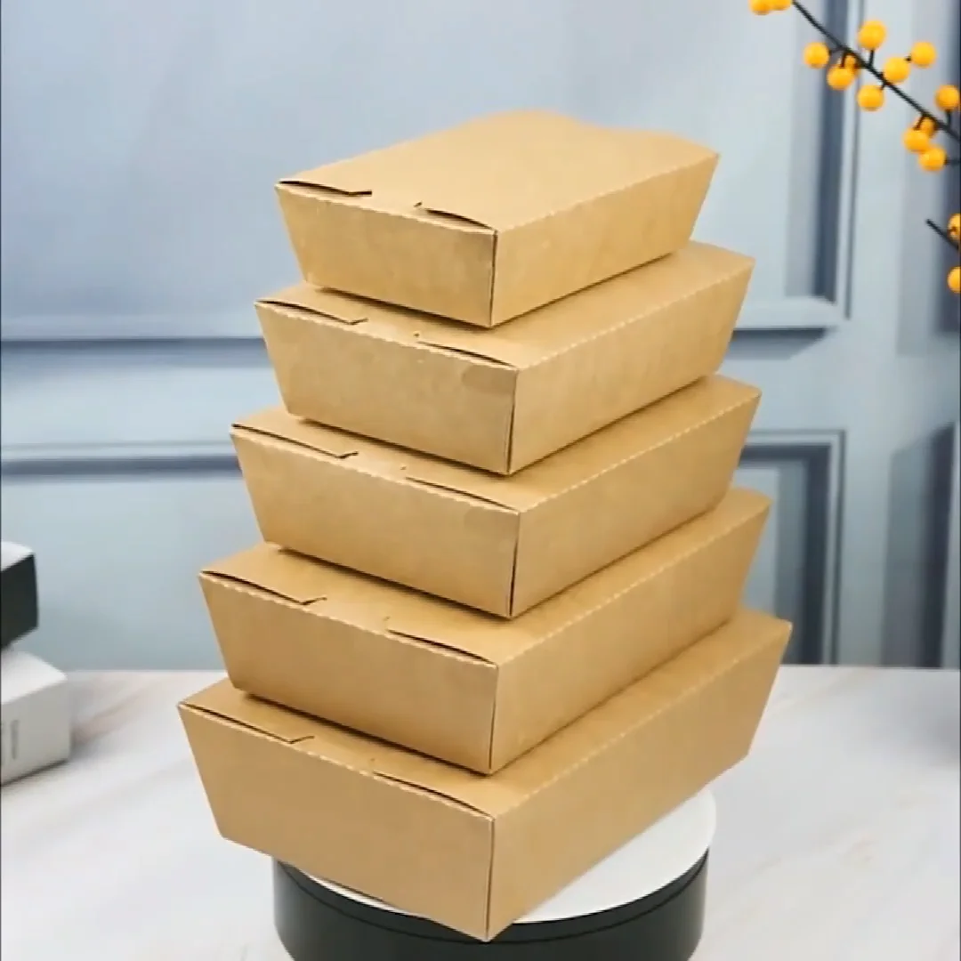 Biodegradable Recyclable Boxes Take Out Hot Fast Food Fried Disposable