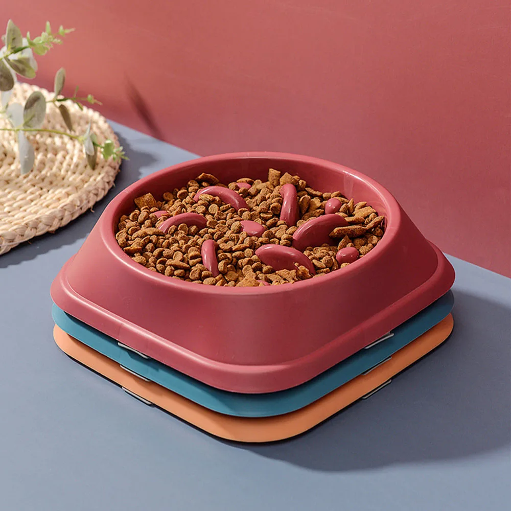 pp plastic pet bowl 3