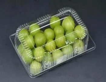 Full Automatic Thermoforming Machine With Punching Faction  Making  PP PET PS Plastic Fruit  Containers