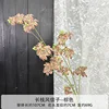 Long-stemmed hyacinth