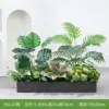 hc-Y80-27 es adecuado para jardineras de 80 cm.