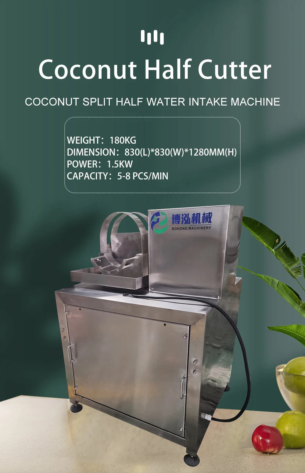 304 Stainless Steel Coconut Half Cutter Coconut Cutting Splitting