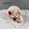 Small skull spray painting model