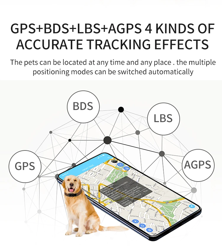 PET collar with gps tracking