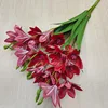 rojo1