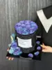 Galaxy Classic Style Flower Pot