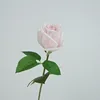 Rosa claro