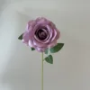 สีม่วง