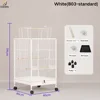 White(B03-standard)