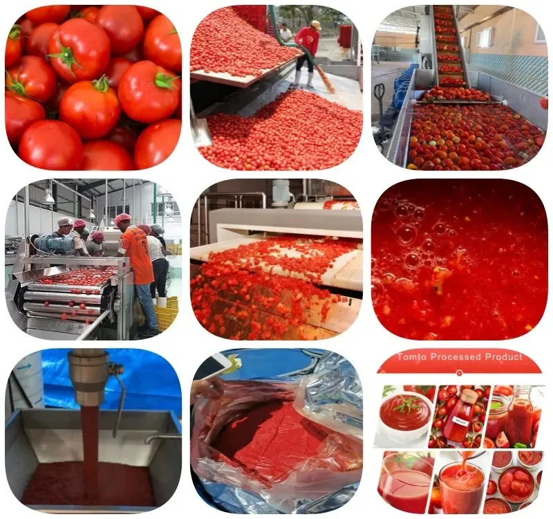 Custom Made Tomato Puree Making Machine Commercial Tomato Sauce Making Machine