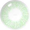 Lee Bible green