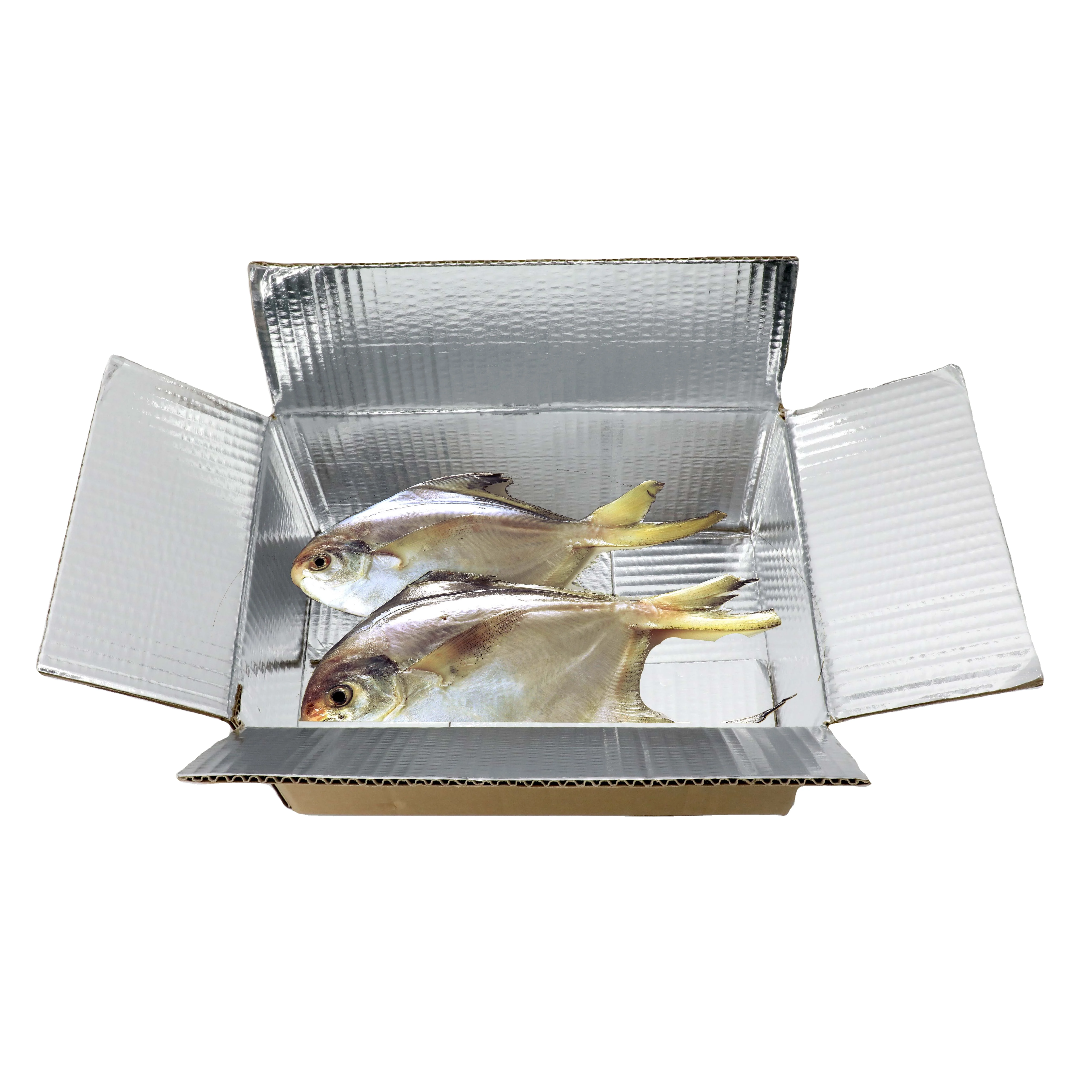 Insulated Freezer Container Fresh Fish Packaging Box Delivery Food Cooler Carton Fish Food Paper Box