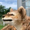 Natura