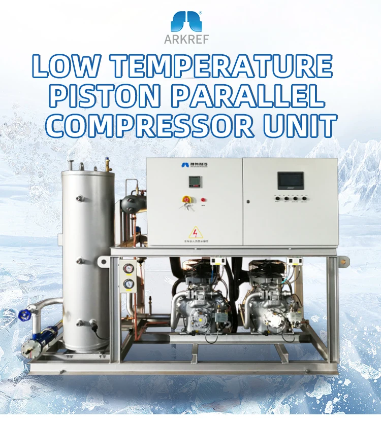 Arkref R134a Refrigeration Compressor Blast Freezer Bitzer Screw