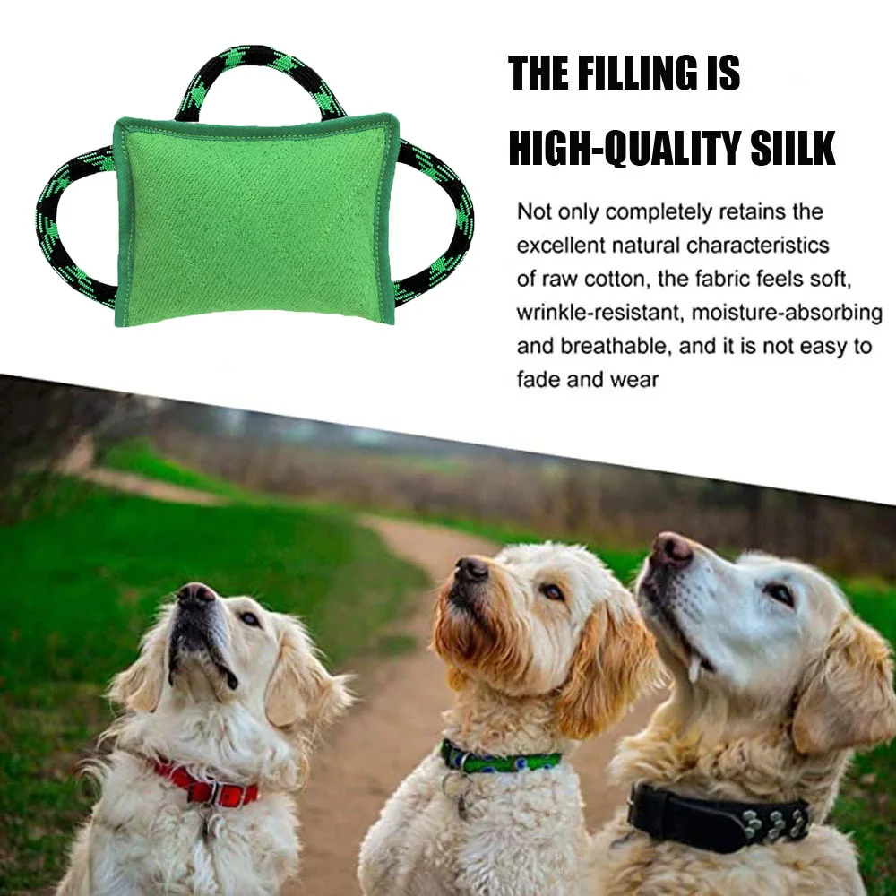 Why Does My Dog Nibble Pillows