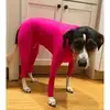 Four-leg stretch sexy dress in rose red