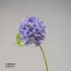 Light Purple Spring Hydrangea