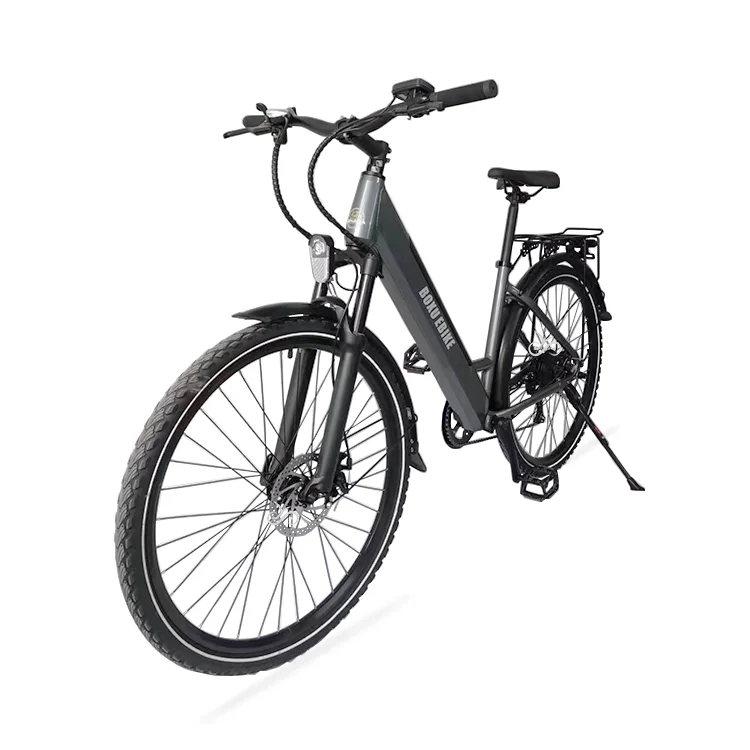 Bicicleta eléctrica OEM y ODM 36V 48V 350W a la venta Luz LED sin escobillas