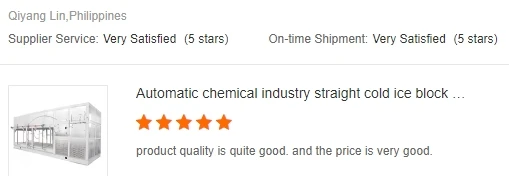 1Ton Tube Ice Machine with 500kg Ice Storage 4.6KW Industrial R404a/R22 Ice Tube Maker