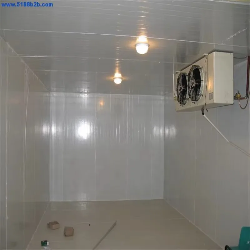 Industrial custom walk-in refrigerators and freezers for food processing and logistics storage