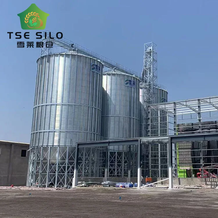 500tons Galvanized Sheet Feed Grain Storage Silo Grain Corn Flour for Poultry Chicken Farm