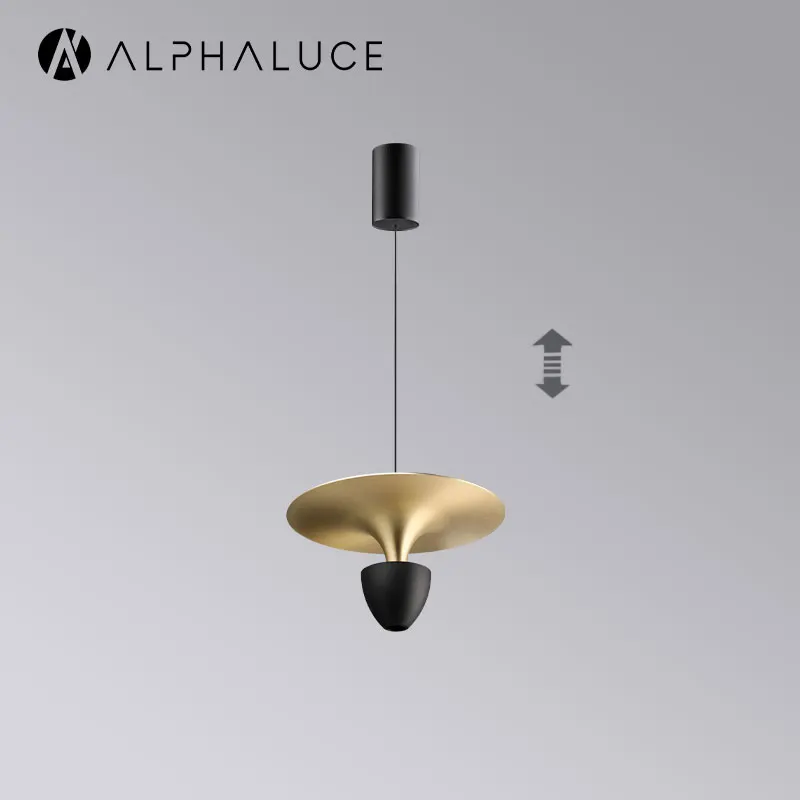 Surface Mounted Minimalist Light Pendant Kitchen Island Hanging Black Ceiling Pendant Lamp