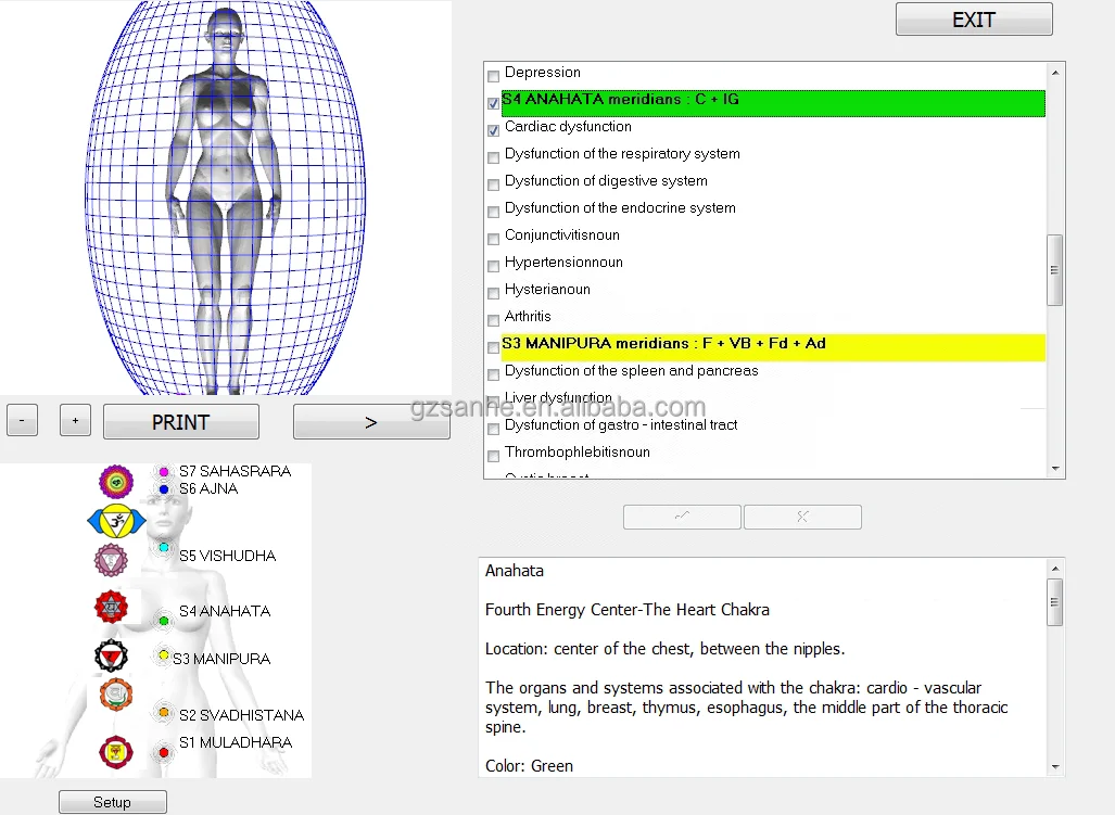 Wholesale CHAKRA 12D NLS Nonlinear Scanner Homeopathy Phytotherapy Meta Correction Vegeto Test Bio Resonance Therapy Machine for