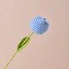 Finished tulip blue
