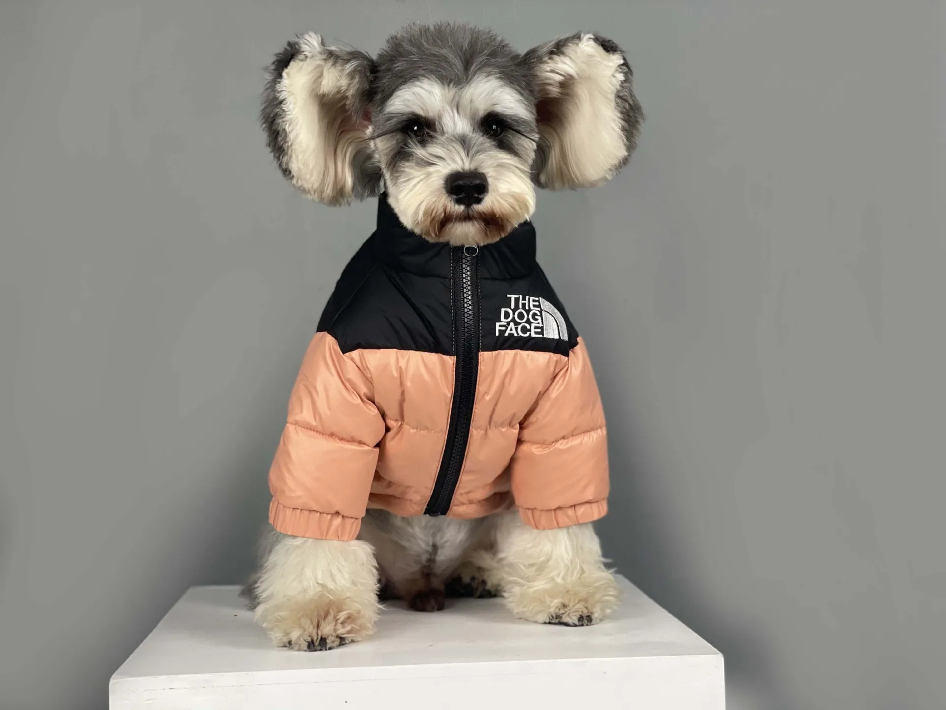 Ins Hot Warm Waterproof Face Top Quality Dog Clothes Fashion Luxury