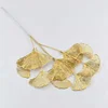 Ginkgo biloba