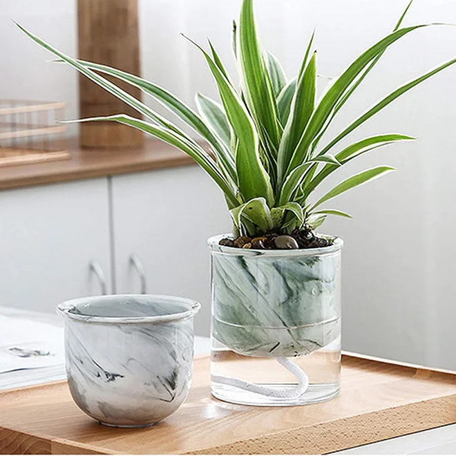 SP　　 SRL プラントポット NEIGHBORHOOD 水耕栽培 SP SRL プラントポット NEIGHBORHOOD 水耕栽培 411fZXYmLVL