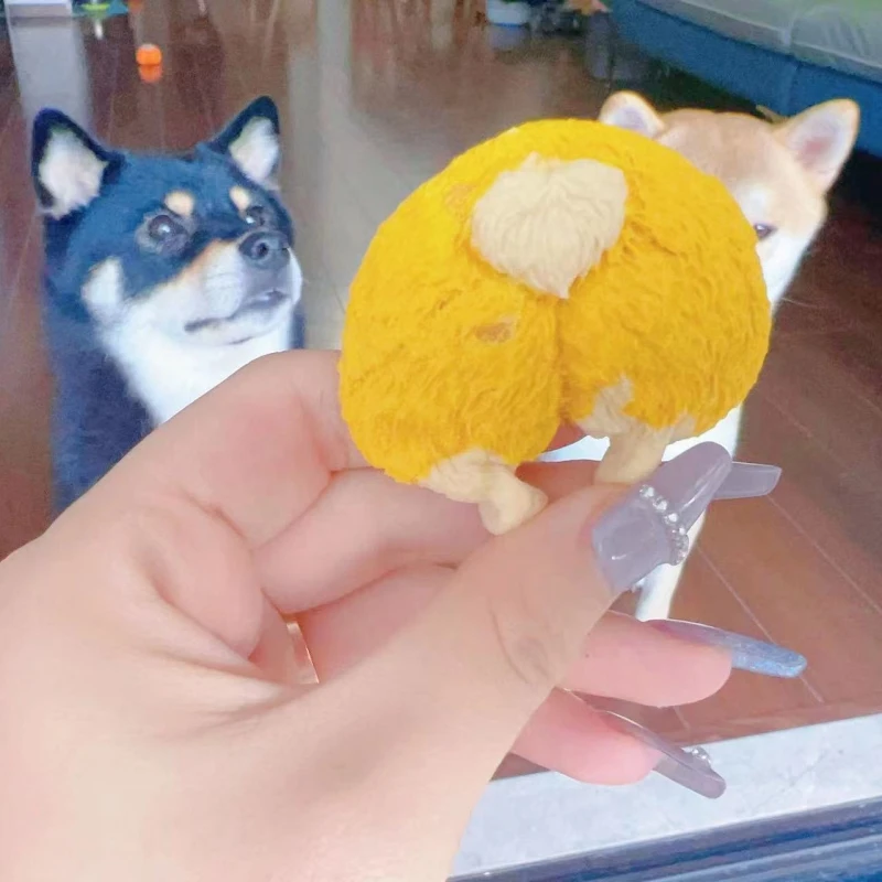 Hand Made Bulk Cute Healthy Pet Training Food Cat Dog Biscuits Snacks