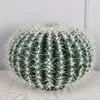 cactus diamètre 45cm