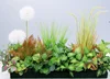 green Style L