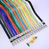 Custom Colors